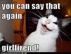 please say that again